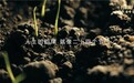穿越消费变迁,深耕文化共鸣:十月稻田以长期主义构建品牌价值内核