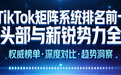 2026年TikTok矩阵系统行业TOP10解析:头部格局与新锐势力洞察