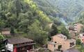 (乡村行·看振兴)青年蹲点“浙中蜜蜂村”:大山里的“青春必修课”