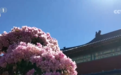 多彩活动点燃假日出游热潮 新业态新场景拓展文旅消费新空间