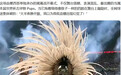 世界杯开幕式“大半夜吓我一跳”?这谣言居然在热搜上挂了半天