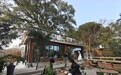 春回乡土间:马跃新途绘乡景