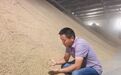 粮食大省秋收忙丨秋收一线看安徽芜湖稻米产业发展