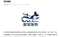 武汉通报“一村庄有62人患癌症和白血病”:成立联合调查组,围绕村民健康、环境生态等问题开展深入调查
