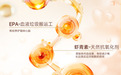 换毛季掉毛护理指南:5 类食物 + 护理技巧,帮猫咪减少浮毛困扰