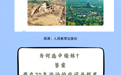 从瀚海孤台到大漠绿洲,榆林被写进全国课堂