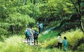 秋日消费,新意扑面来(探访)