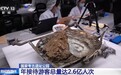 视频丨近三年来国家考古遗址公园年接待游客总量达2.6亿人次