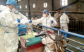 祁连山下是我家丨科技特派员 把论文写在沙乡大地