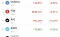 比特币大涨冲上8万美元!美股三大指数齐跌,英伟达、苹果、特斯拉、SpaceX下挫;中概股逆势上涨,阿里、京东、蔚小理齐涨丨美股开盘