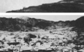 血战湘江,中央红军折损过半,毛泽东力主战略转兵,开启重新崛起之路