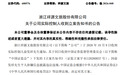 600576、603815,实控人被证监会立案