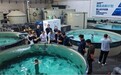 从实验室到养殖车间:华南农业大学秦启伟教授团队到访陆渔科技,共议循环水生物安全管理与确定性农业协同创新