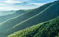 包头入选全国林草碳汇试点典型案例!为干旱半干旱地区探新路,这套方案成全国样板