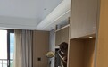 游客住酒店遭猴子顺走水果和零食,店方回应
