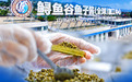 开局之年看中国·潮涌荆楚丨清江鲟鱼“上岸记”:一尾鱼的转身,一个地方的升级