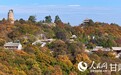行进中国|崆峒秋正好 烟火揽风华