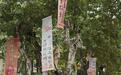 成都“古风”过中秋:西安南路变身“诗词大街”,永陵公园里体验投壶、猜灯谜、做兔子灯