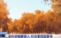 金秋十月秋色如画勾勒出秋日盛景图 “生态美”带动“产业兴”实现“百姓富”