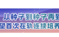 开“新”空间站丨太空“种地”进度更新!见证天宫丰收时刻