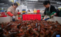 价稳良种优,潜江小龙虾解锁丰产又丰收密码