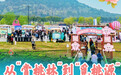 春日经济新图景丨从“赏桃林”到“觅桃源”,林下经济“种”出田园新花样