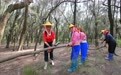 万里边疆行|从“黄沙堵家门”到“绿浪锁风口”:小岞林场跨越六十载的巾帼坚守(6)