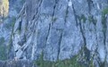 加拿大16岁少年轻信AI被困518米岩壁 【轻信AI规划登山路线,1