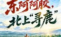 国企进化论|东阿阿胶,北上“寻鹿”