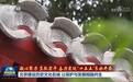 【凝心聚力 真抓实干 奋力实现“十五五”良好开局】北京建设历史文化名城 让保护与发展相融共生