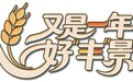 中国农民丰收节|包头秋收金浪涌!这片田野凭什么年年丰收再上新台阶?