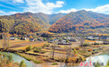 岷县:美丽乡村秋意浓