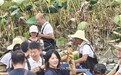 活力中国调研行|一节洪湖莲藕的“增值之旅”