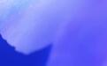 Mac版Codex更新Appshots功能,窗口可直接“喂”给AI