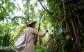 听,西双版纳的植物会“说话”!