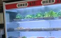 “边牧”在麻辣烫店嗅闻舔食菜品,门店:不允许带狗进店,重庆奉节市场监管回应