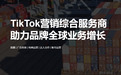 2026年TikTok官方30家达人代理商解析:中国企业出海优选策略指南