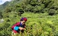 当“四件大事”同频共振 ——山南市落实新时代党的治藏方略新观察