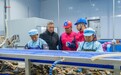 电力护航“年鱼”飘香,汉产风干鱼热销全国