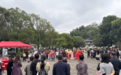 视频丨古村“活”了,“火”了!近5.2万人次打卡岳阳张谷英景区
