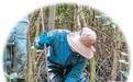 入林、寻鲸,中国科研人员守护海洋生灵—— 潮声中的跨洋守望(环球热点)