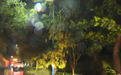 鏖战风雨!浙江多地极速清障抢通,守护群众出行平安