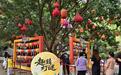 中秋假期首日,四川A级景区接待游客408.39万人次