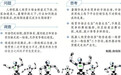 机器人租赁,价格战后拼什么
