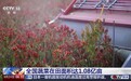 视频丨供应充足、价格稳定 双节假期“菜篮子”有保障