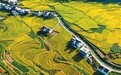 未来五年,自然资源更好支撑高质量发展(锐财经)