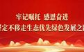 关于算力和数字经济,总书记这样谋篇布局