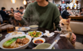 宠物走进餐厅:一场没有赢家的公共空间之争