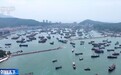 视频丨南海开渔 千帆竞发开启“海上秋收”