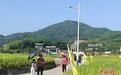 (乡村行·看振兴)福州点洋村焕新迎客 闽台合力绘就乡村新图景